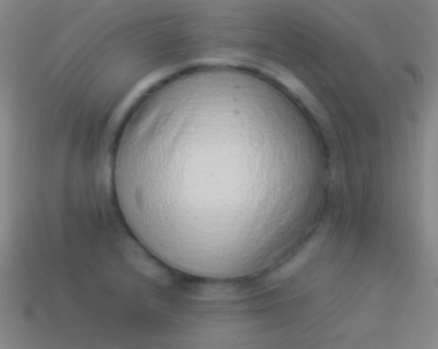 X0000114221232200910231436