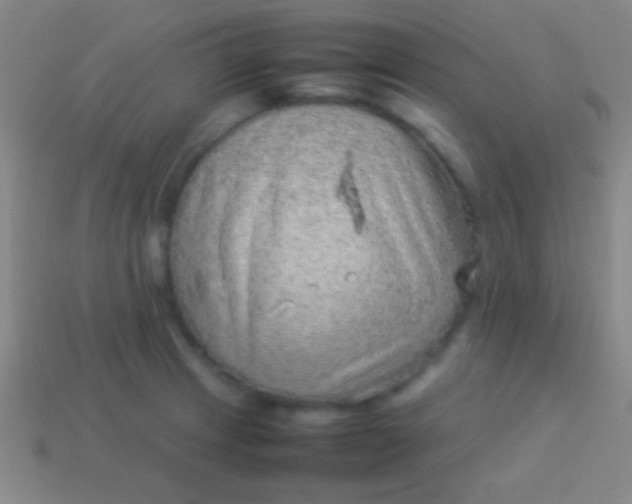 X0000114221233200910231436