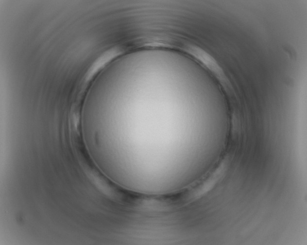 X0000114221234200910231436