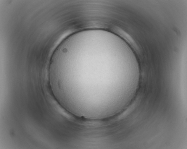 X0000114221236200910231436