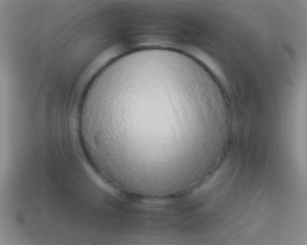 X0000114221237200910231436