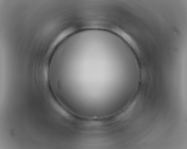 X0000114221238200910231436