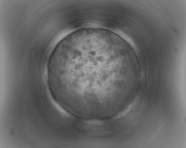 X0000114221239200910231436