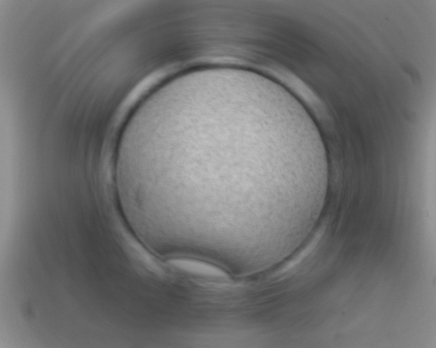 X0000114221240200910231436