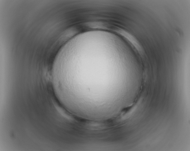 X0000114221241200910231436