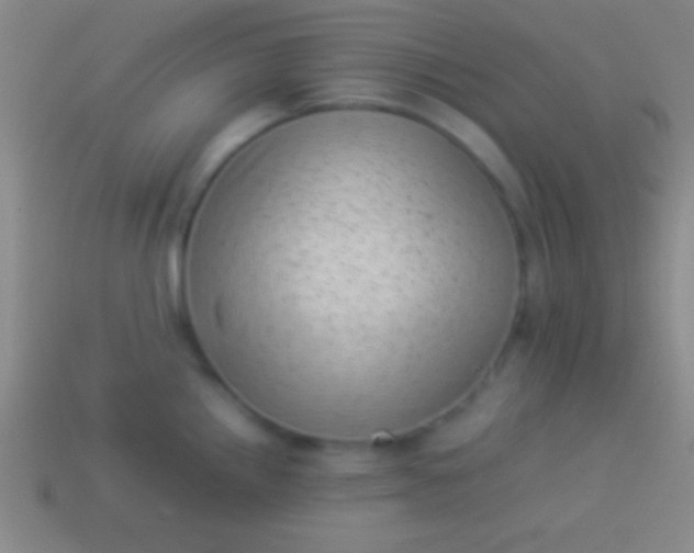 X0000114221242200910231436