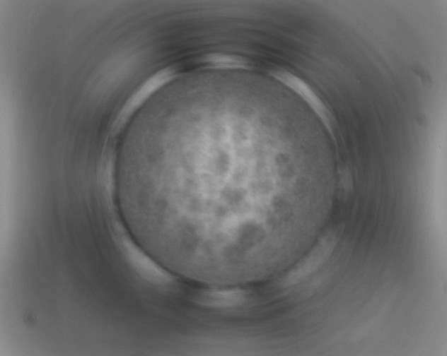 X0000114221243200910231436