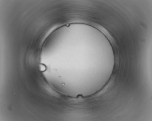 X0000114221244200910231436