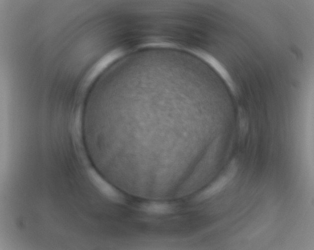 X0000114221245200910231436