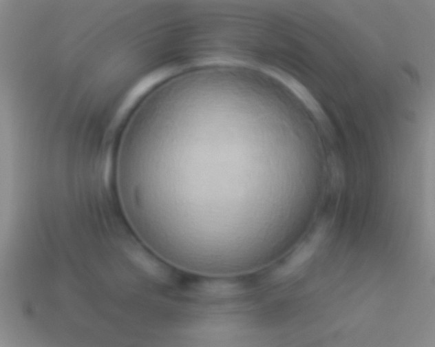 X0000114221246200910231436