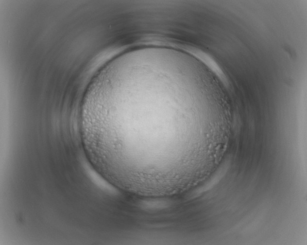 X0000114221247200910231436