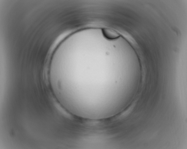 X0000114221248200910231436