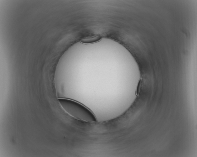 X0000114221249200910231436