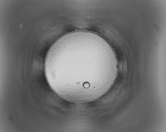 X0000114221251200910231436