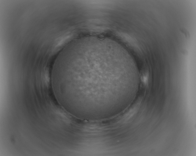 X0000114221252200910231436