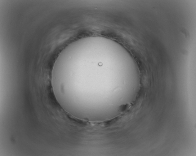 X0000114221253200910231436