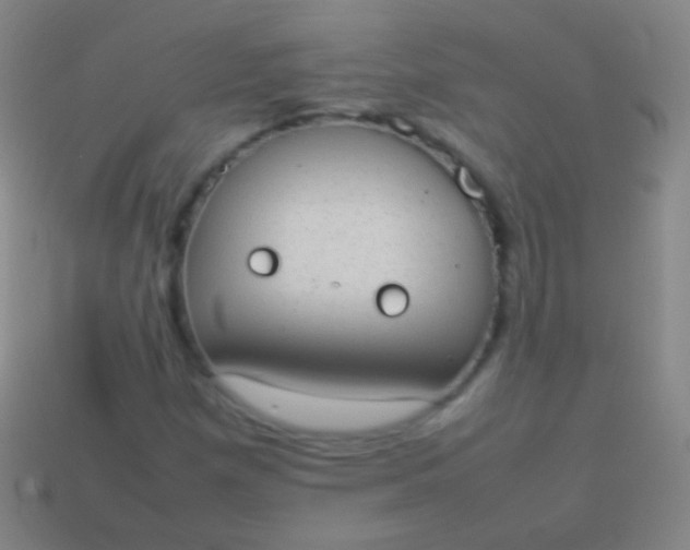 X0000114221257200910231436