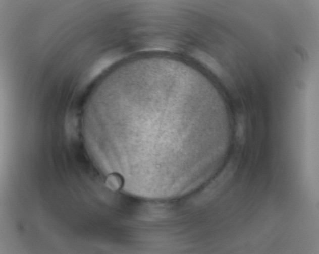 X0000114221258200910231436