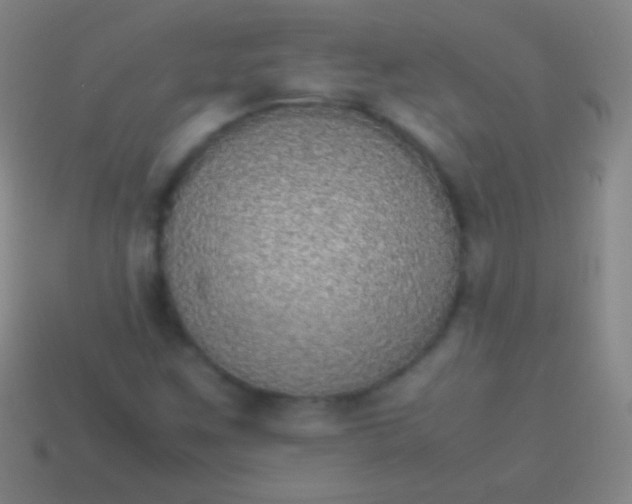 X0000114221259200910231436