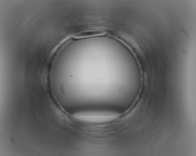 X0000114221260200910231436