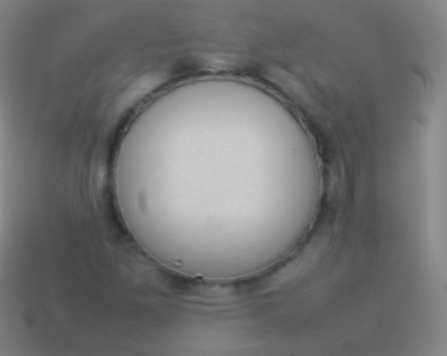 X0000114221261200910231436