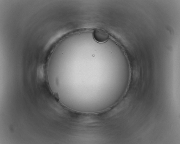 X0000114221262200910231436