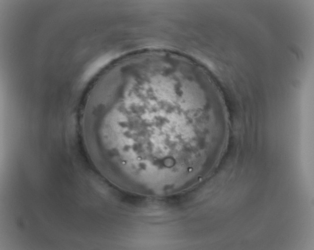 X0000114221263200910231436