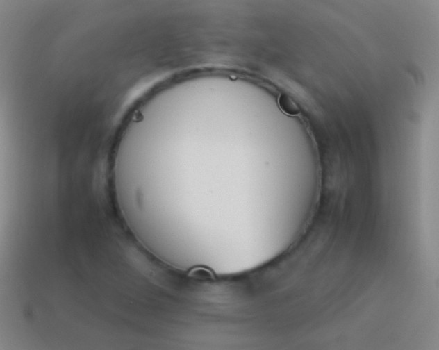 X0000114221264200910231436