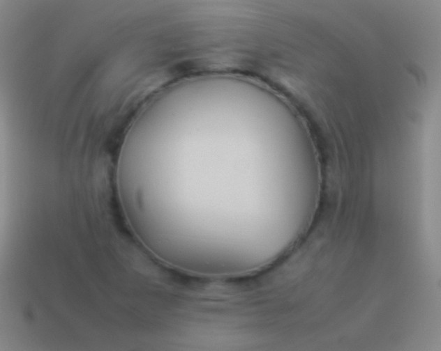 X0000114221265200910231436