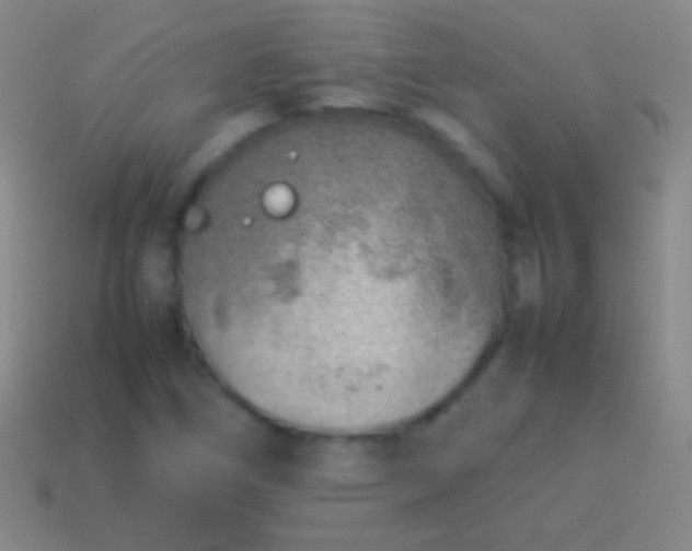 X0000114221266200910231435