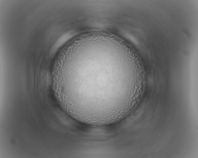 X0000114221267200910231435