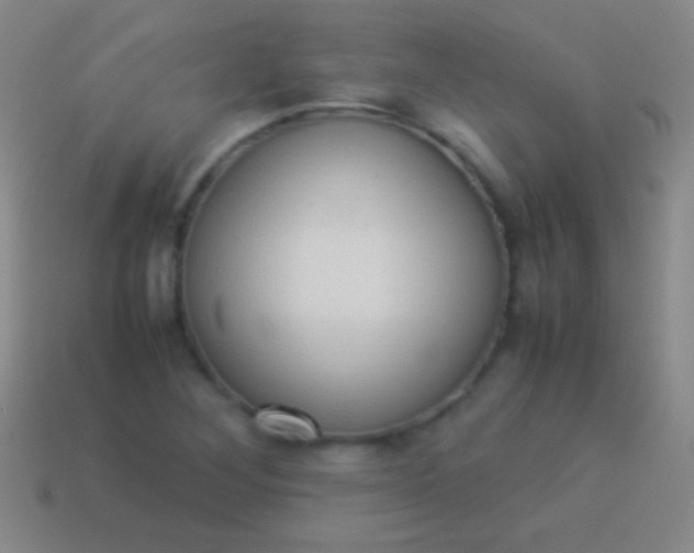 X0000114221268200910231435