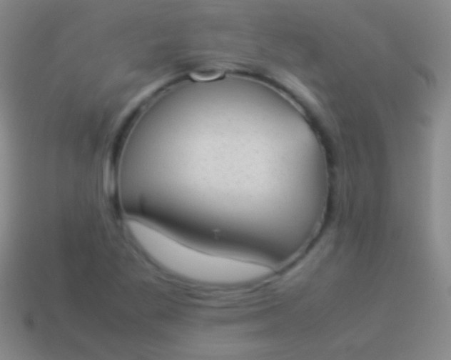 X0000114221269200910231435