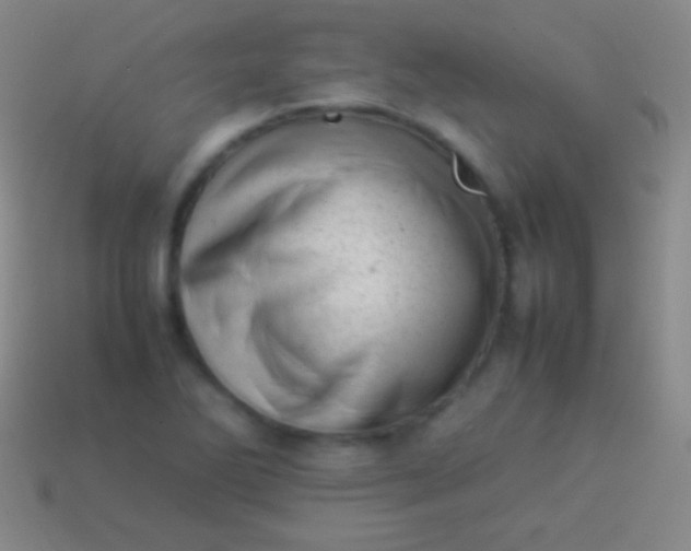 X0000114221270200910231435