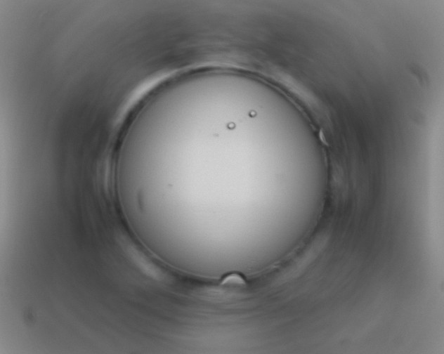 X0000114221272200910231435