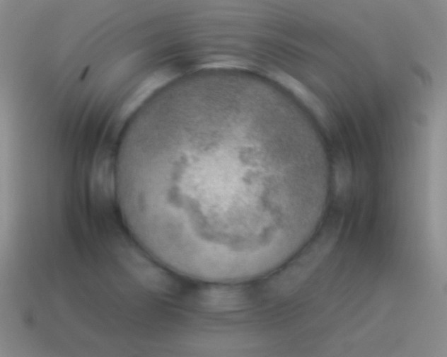 X0000114221274200910231435