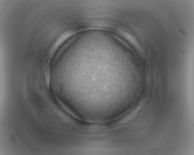 X0000114221275200910231435