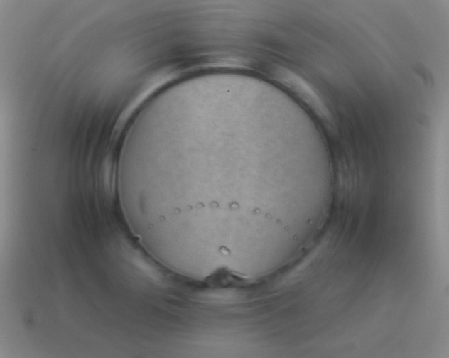 X0000114221276200910231435