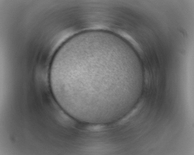 X0000114221278200910231435