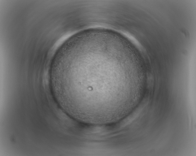 X0000114221279200910231435