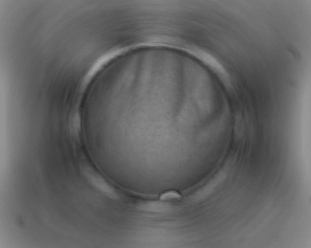 X0000114221280200910231435