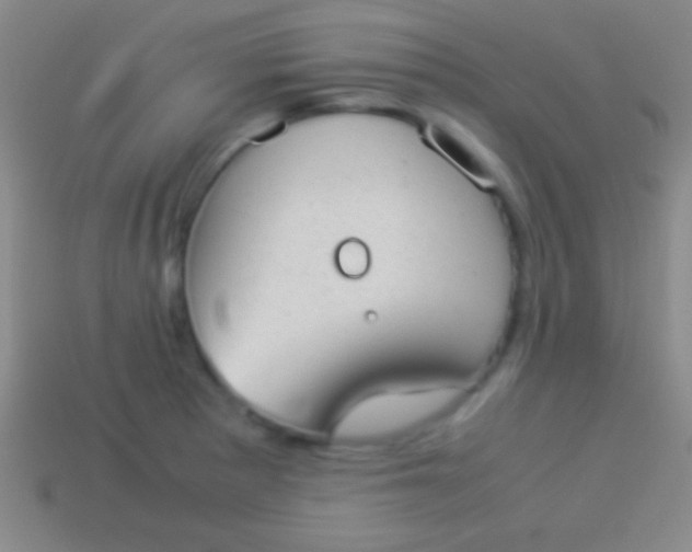 X0000114221281200910231435