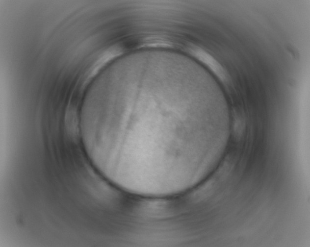 X0000114221282200910231435