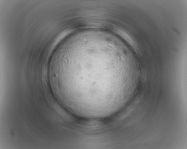 X0000114221283200910231435