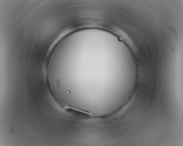 X0000114221284200910231435