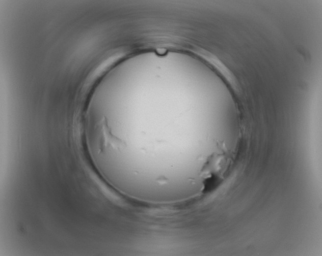 X0000114221285200910231435