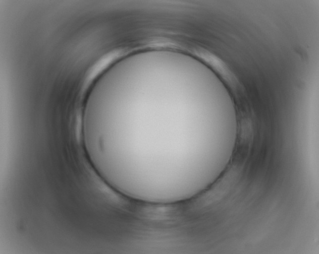 X0000114221286200910231435