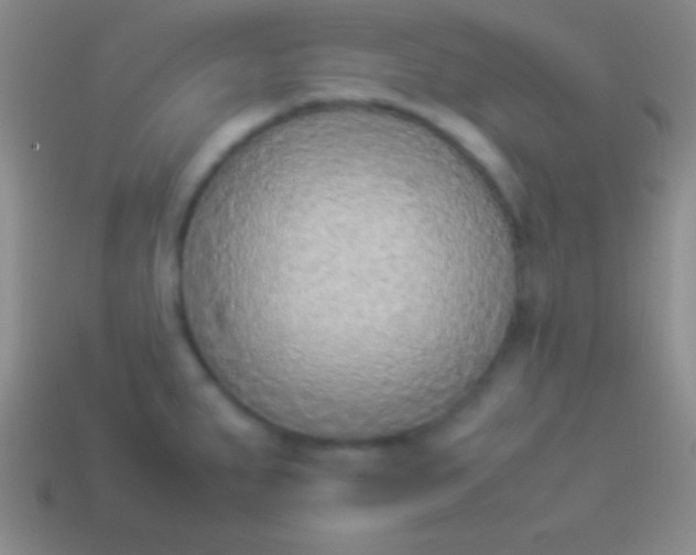 X0000114221287200910231435