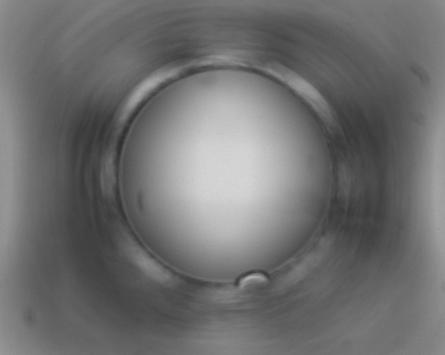 X0000114221288200910231435