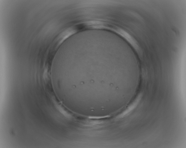 X0000114221289200910231435